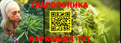 спайс Кулебаки