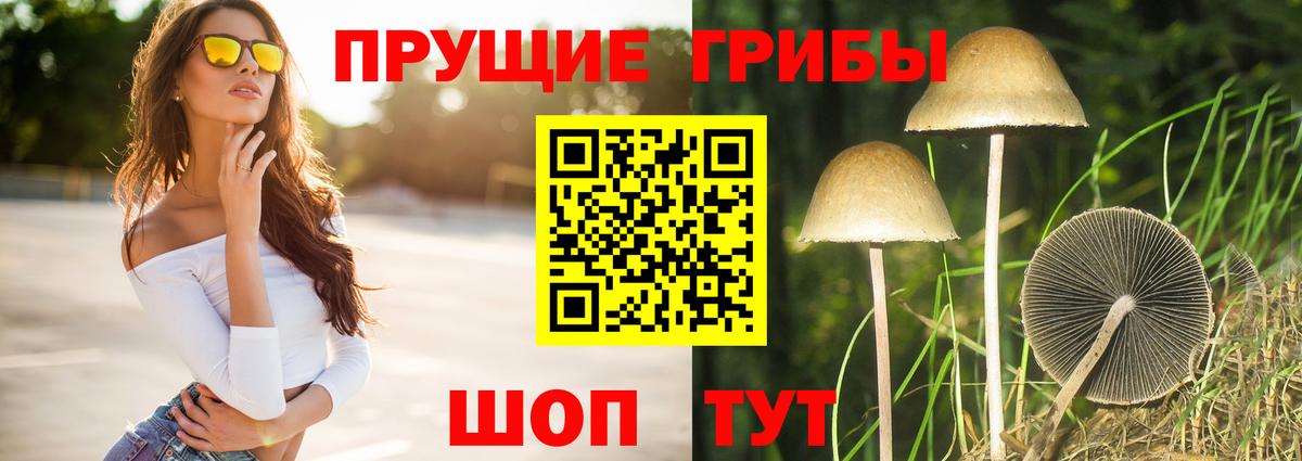 Галлюциногенные грибы Cubensis Энгельс